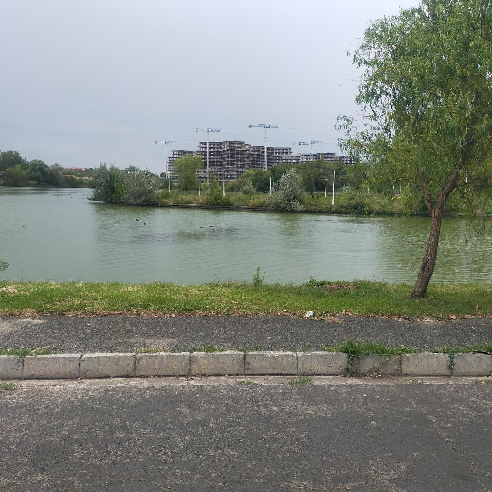 Vila Elena Ap 1 บูคาเรสต์ ภายนอก รูปภาพ