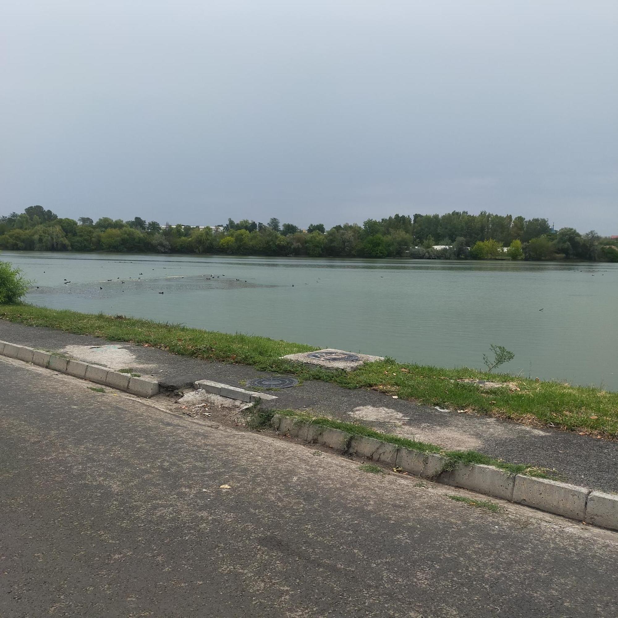 Vila Elena Ap 1 บูคาเรสต์ ภายนอก รูปภาพ